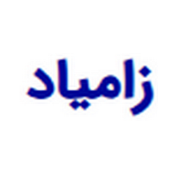 شرکت زامیاد